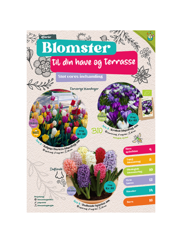 Blomsterløgkampge efterår