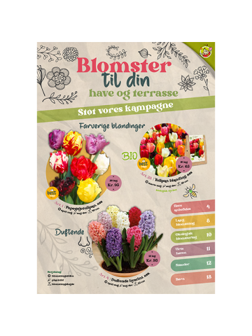 Blomsterløgskampagne efterår