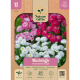 Marguerit/Sweet-Wood-blanding