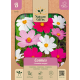 Cosmos Sensation blanding