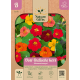 Nasturtium/Klatreblanding