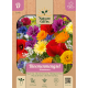 Blomsterblanding/Vilde blomster