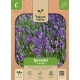 Lavendel (Ægte Spike)