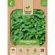 Citronmelisse (Citronella)