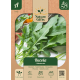 Rucola Slaplant