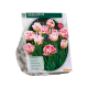 Fyldt rosa tulipan Upstar stk 10