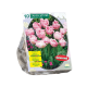 Fyldt rosa tulipan Upstar stk 10