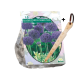 Allium Purple Sensation stk 15 + gratis løgplanter