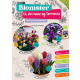 Blomserløgkampagne efterår