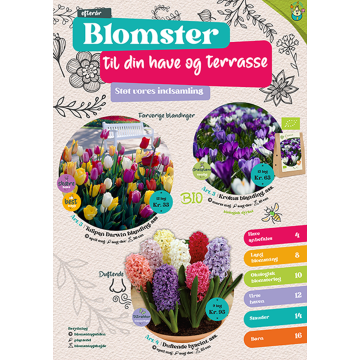Blomserl&oslash;gkampagne efter&aring;r
