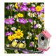 Blandet blomsterfrø med gratis fuglehus