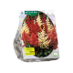 Astilbe, blandede farver stk 3