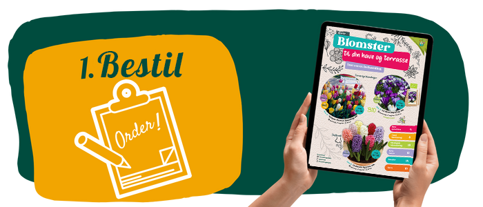 1 - Bestil dine katalog