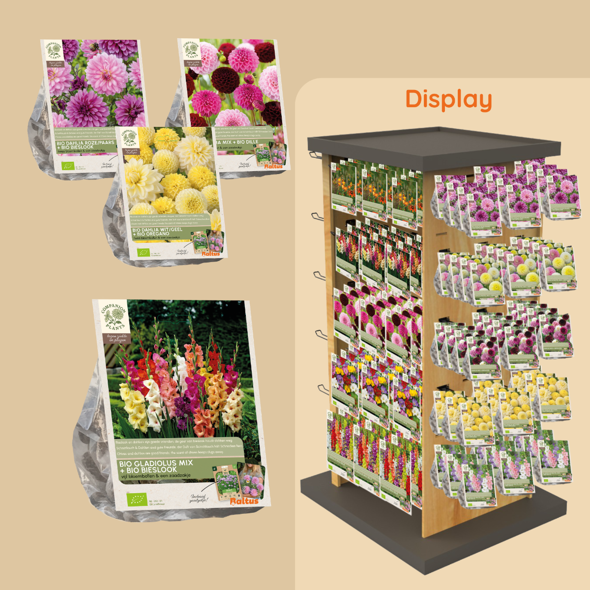 Wat zijn Companion Plants?